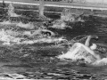 03 1970 Steaua-Dinamo 4-4.jpg