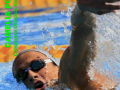 0 Carduri autograf Saptamana Campionilor - CAMELIA POTEC