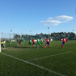 Steaua-Tom Tonsk (11)