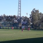 Steaua-Tom Tonsk (7)
